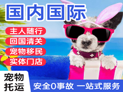 天水麦积山机场空运国际宠物托运 【国
